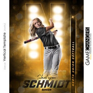Dance Vertical : Photoshop Template Team for Photographers with Lights Bokeh Sparkle